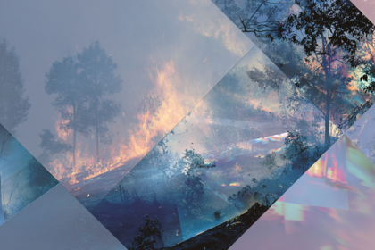 Природа как терапия: сила зеленых пространств