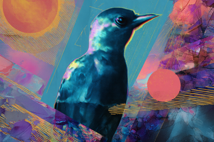 Позитивный внутренний диалог: справляемся с негативными мыслями