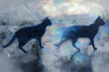 Уровни организации личности: невротический, пограничный, психотический