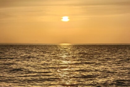 Танго Ретрит в Сочи