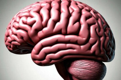 Как работает пирамида мотивации и почему работа с потребностями - это бег на месте