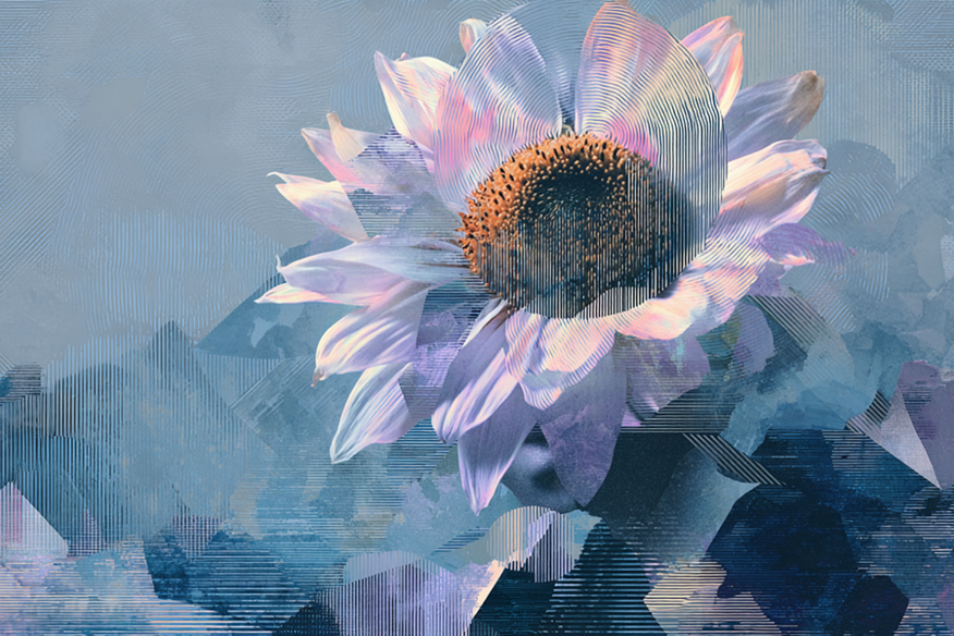 Долголетие и качество жизни: практические шаги