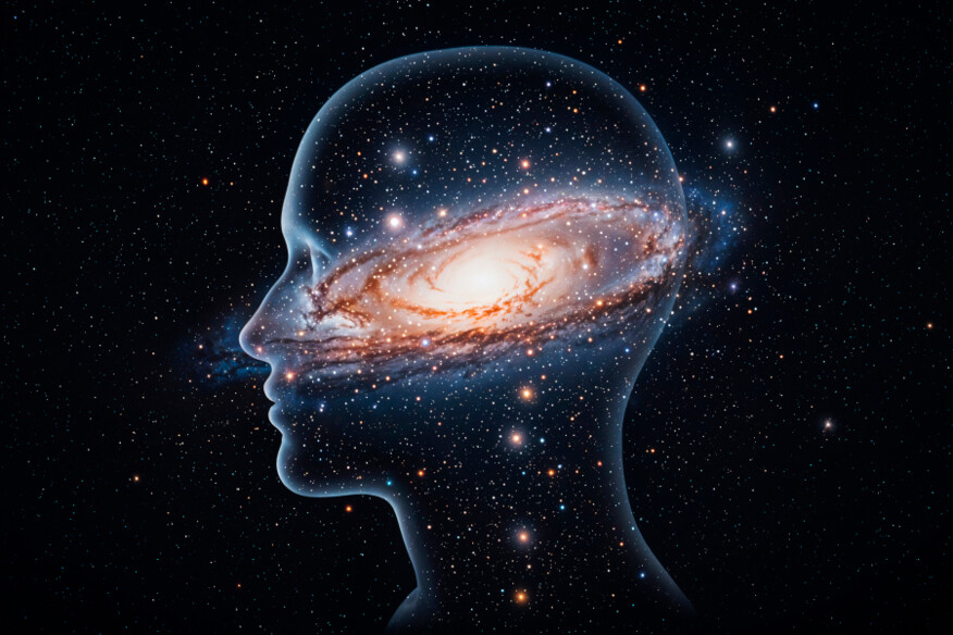 Вселенная как единый, недоступный для объективного восприятия и описания субъект