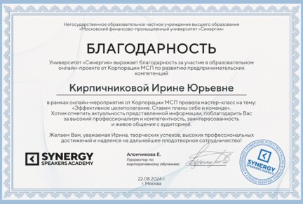 Благодарность Синергия (МСП).jpg